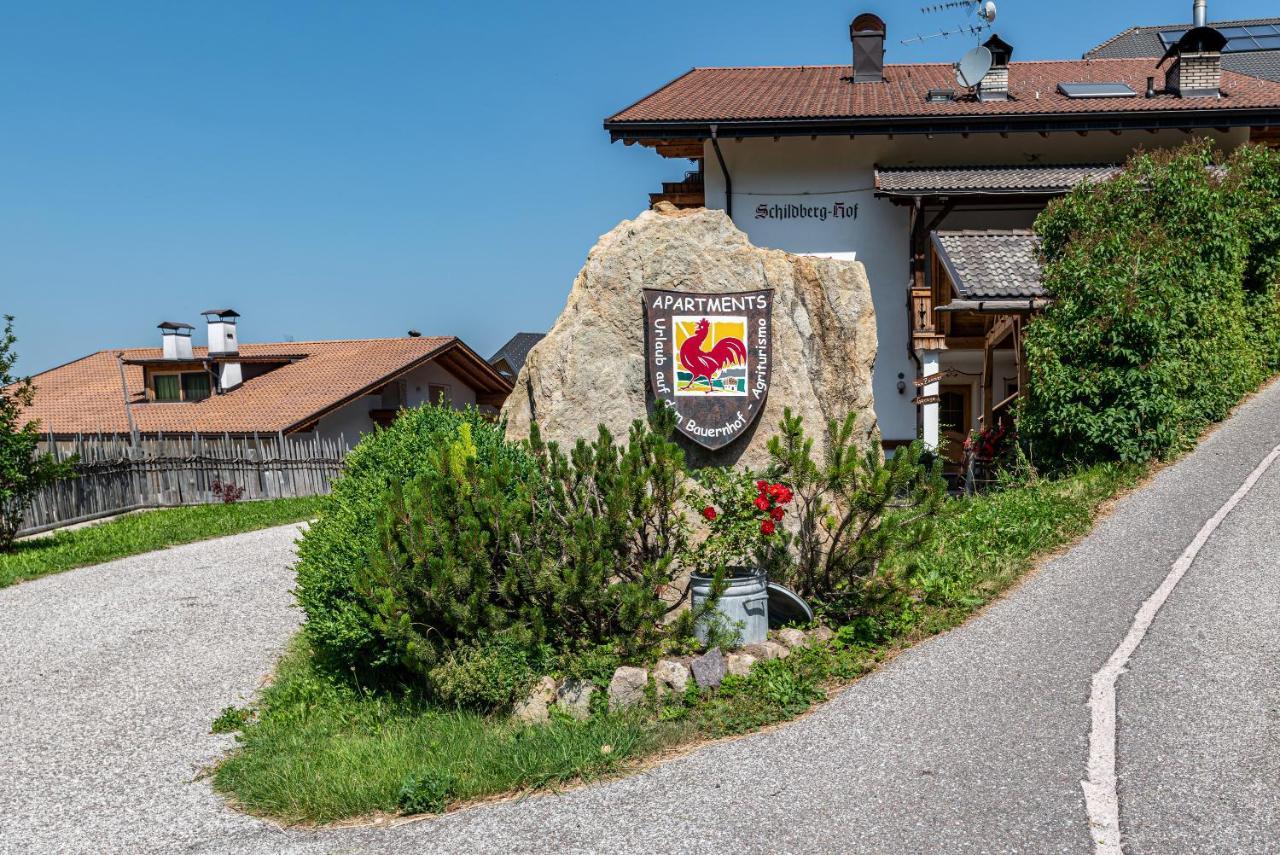 Schildberghof Panorama Apartment Сиуси Екстериор снимка